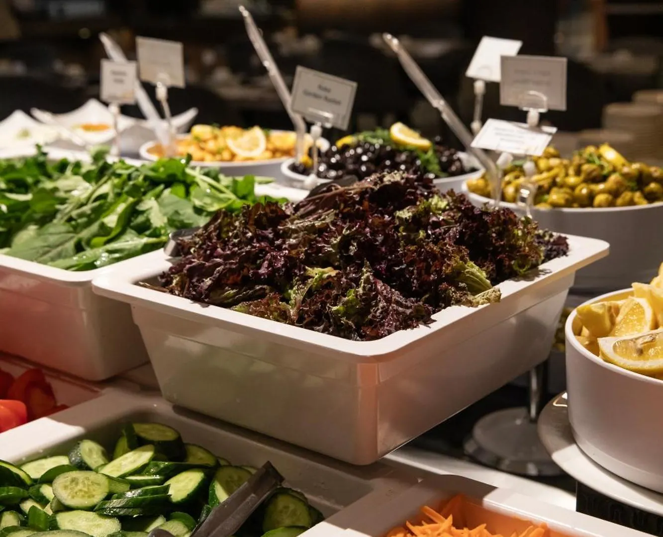 Hotel Grand Harilton Otel Istanbul